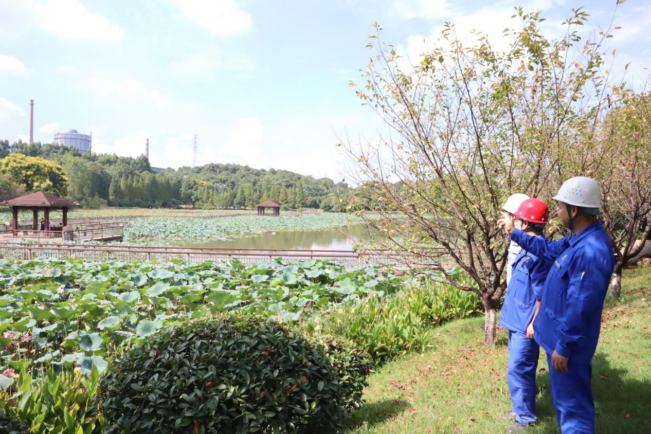 1694393633461053.jpg 20230910134337375733.jpg